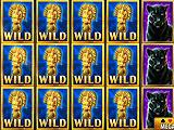 Wild Card Craze Win in Vegas Jackpot Slots