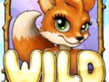 Foxy Fortune Slots Wild Card