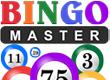 Bingo Master game