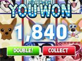 Cats vs Dogs Slots Big Win