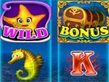 The Ocean Slot in Slots Paradise