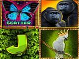 Miracle Slots & Casino Jungle Wild