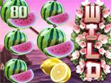 Fruit Zen Slots Wild