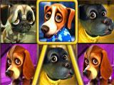 Big Win in Puppy Love Slots