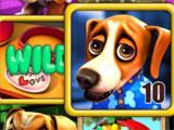 Puppy Love Slots Wild Win