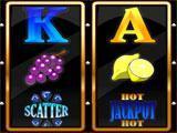 Wild Fortune Casino Wild Fortune Casino