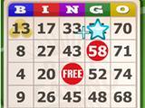 Diwip Bingo Best Bingo Game on Diwip!