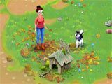 Solitaire Pet Haven starting off