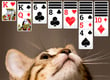 Solitaire - Card Games game