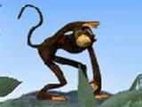 Gameplay for Spider Monkey Solitaire