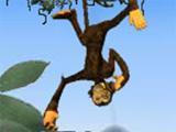 Spider Monkey Solitaire