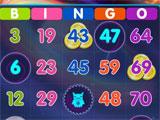 Bingo HOME fun gameplay