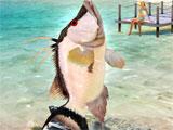 Fishing Clash: Game Play Fishing Clash: Game Play