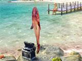 Fishing in Fishing Clash Fishing in Fishing Clash