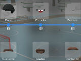 Slapshot: Customization Slapshot: Customization