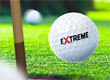 Extreme Golf game