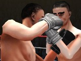 Performing an Uppercut in World Boxing Challenge Performing an Uppercut in World Boxing Challenge