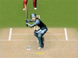 Gameplay for Howzat Cricket Howzat Cricket Gameplay