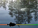 Gameplay of My Fishing World My Fishing World gameplay