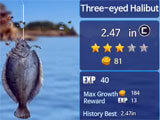 Details about the fish Fish details in the game