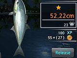Fishing Hook Fishing Hook