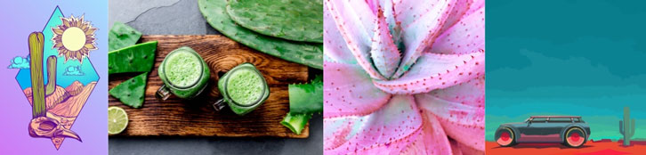 Creative Trend number 7: Cactus Creative Trend number 7: Cactus