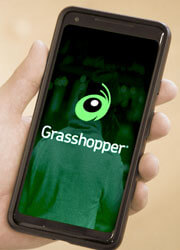 Grasshopper Grasshopper