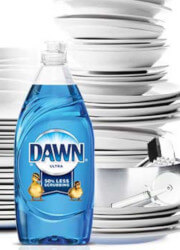 Dawn Dawn