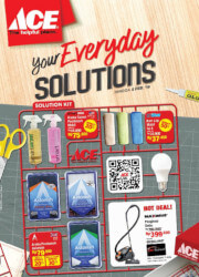 Ace Hardware Ace Hardware