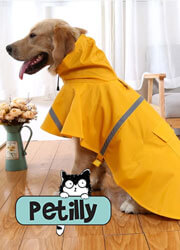 Petilly Petilly
