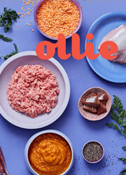 Ollie Pets Inc Ollie Pets Inc