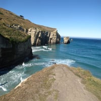 New Zealand thumb