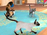 Cat Hotel VR: Own up to 7 different breeds