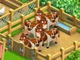 Funky Bay: Farm Animals Funky Bay: Farm Animals