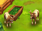 Zoo 2: Animal Park: Feeding goats Zoo 2: Animal Park: Feeding goats