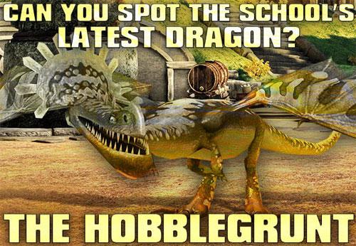 New Dragon in School of Dragons