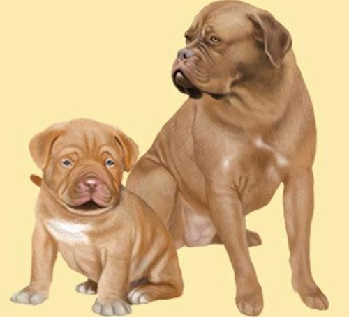 Mother and Puppy in Dogzer