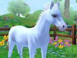 Star Stable Horses: Choosing a foal