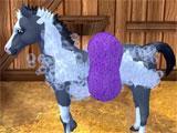 Cleaning your foal in Star Stable Horses