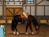 HorseHotel HorseHotel