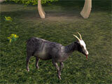 Goat Simulator starting off