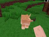 World Craft Virtual Hog