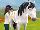 Horse Riding Tales Horse Riding Tales