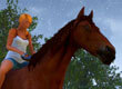 Horse Riding Deluxe game