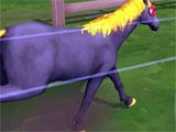 Horse Park Tycoon 2