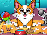 Gameplay of My Corgi My Corgi gameplay