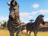 Zebras in Planet Zoo Zebras in Planet Zoo