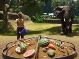 Planet Zoo: Feeding the animals Planet Zoo: Feeding the animals