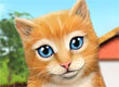 Pet World game