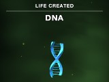 DNA Created in Cell to Singularity